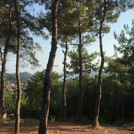 Dab Country Villa Gocek (Fethiye)