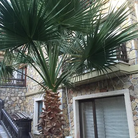 Dab Country Villa